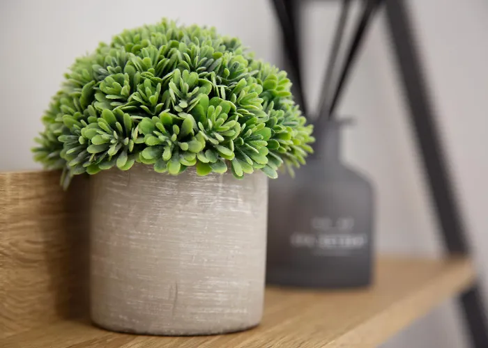 3 Bedroom With Hot Tub